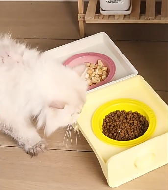 Raised Ceramic Pet Bowl